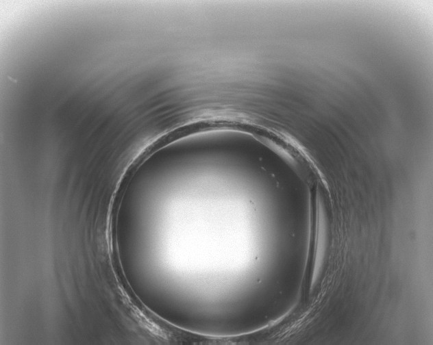 X0000054420791200508051804