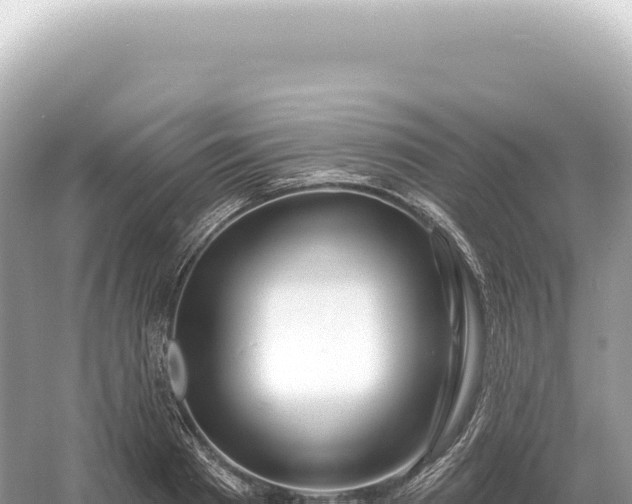 X0000054420793200508051804