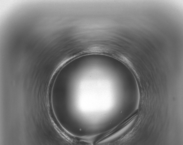 X0000054420795200508051804