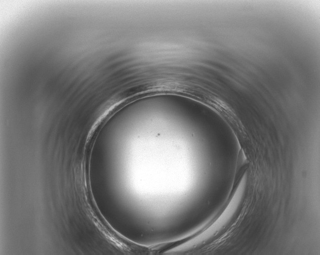 X0000054420796200508051804