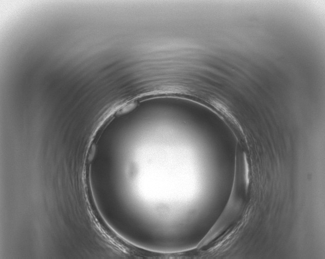 X0000054420797200508051804