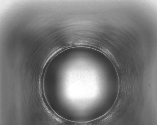 X0000054420798200508051804