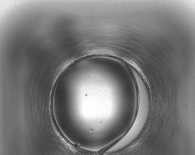 X0000054420799200508051804