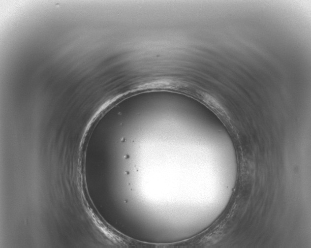 X0000054420800200508051804