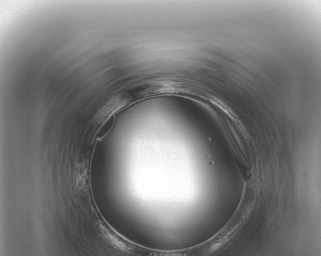 X0000054420801200508051804