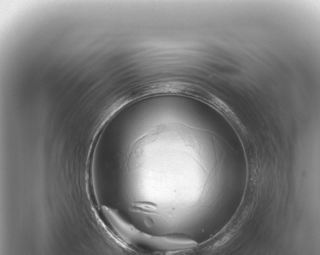 X0000054420802200508051804