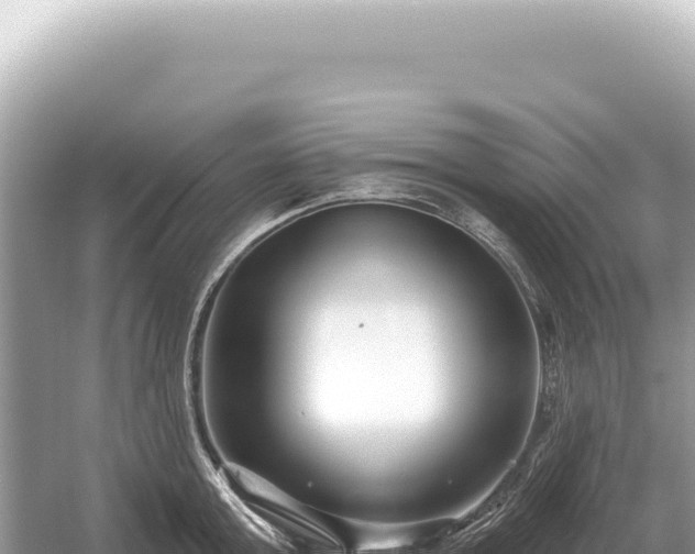 X0000054420803200508051804