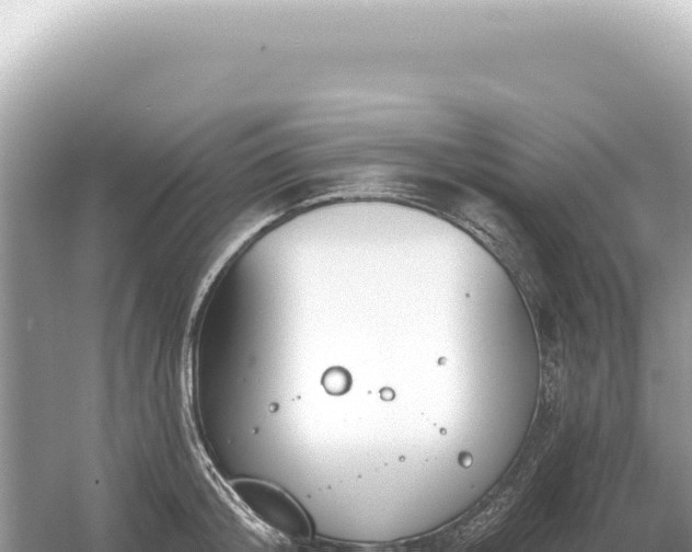 X0000054420804200508051804