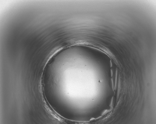 X0000054420806200508051804