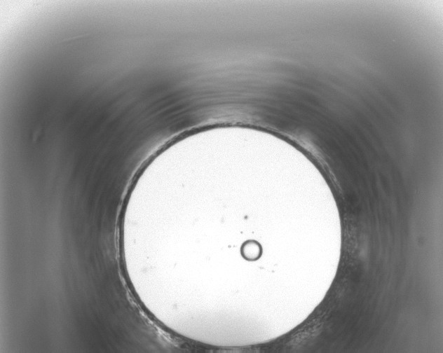 X0000054420807200508051804