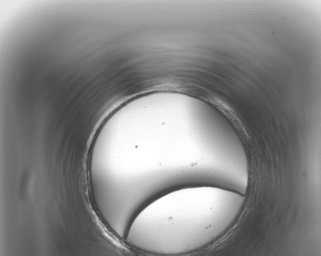 X0000054420808200508051804