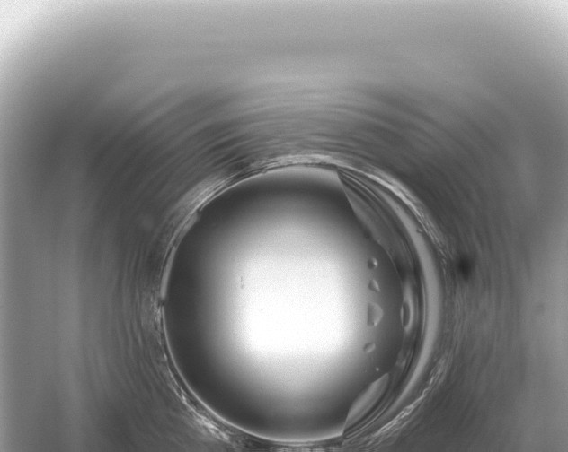 X0000054420809200508051804