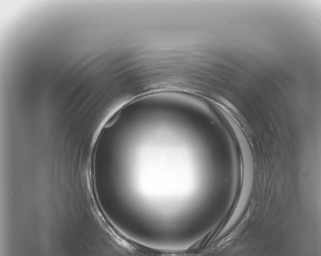 X0000054420812200508051804