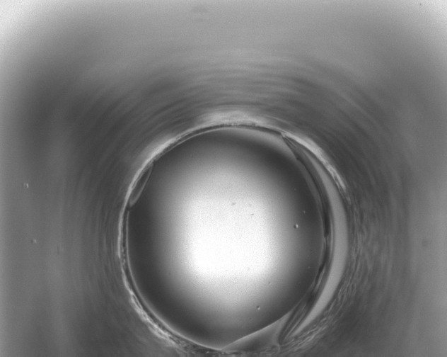 X0000054420815200508051804