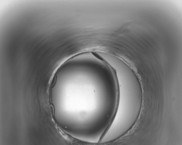 X0000054420816200508051804