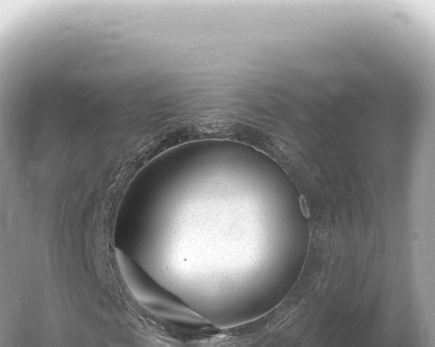 X0000054420817200508051803