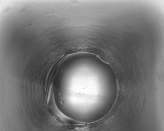 X0000054420818200508051803