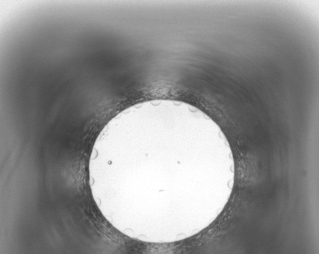 X0000054420820200508051803