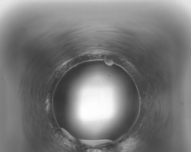 X0000054420821200508051803