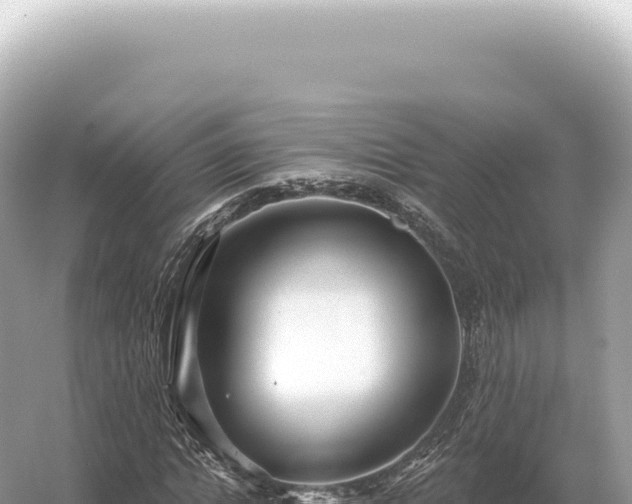 X0000054420822200508051803