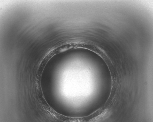 X0000054420823200508051803