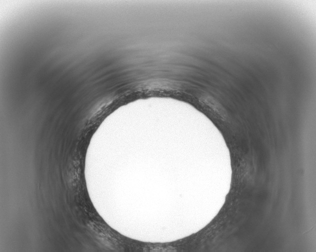 X0000054420824200508051803