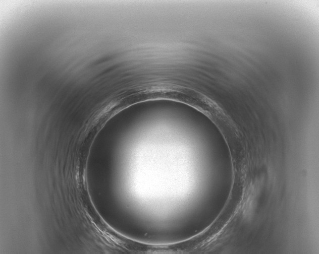 X0000054420825200508051803