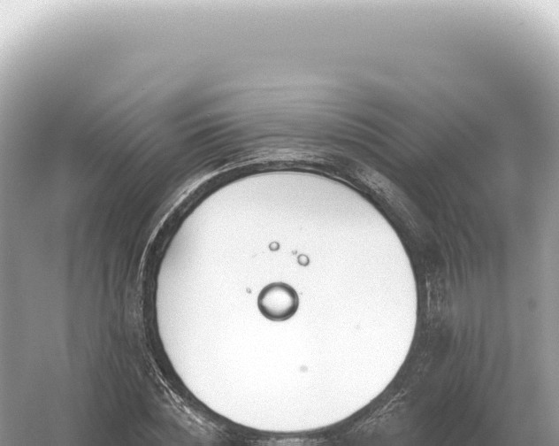 X0000054420828200508051803