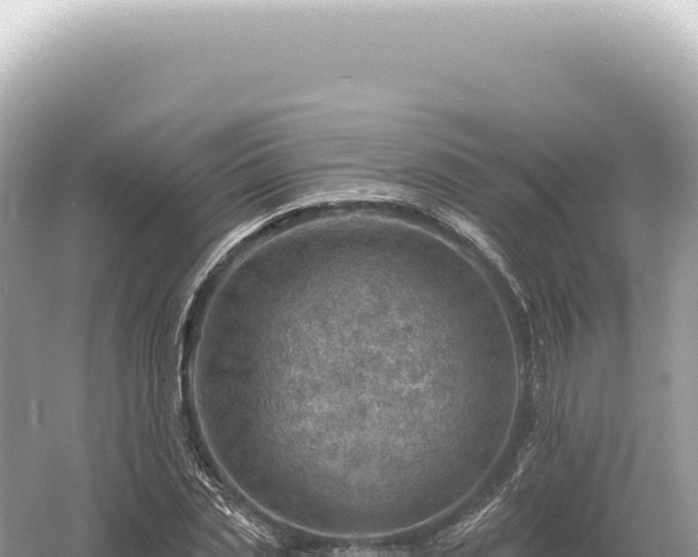 X0000054420829200508051803