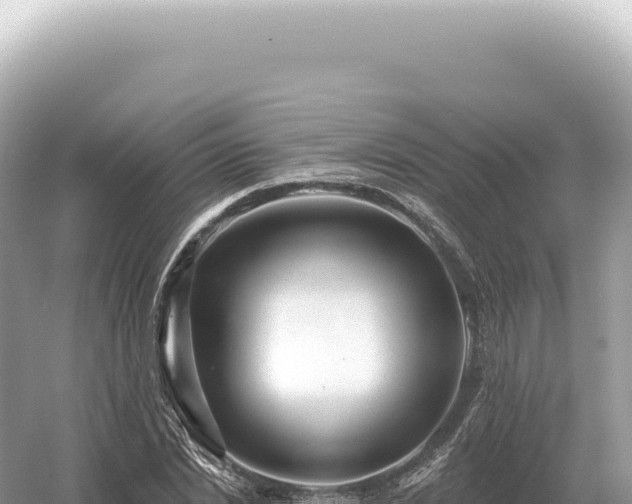 X0000054420830200508051803