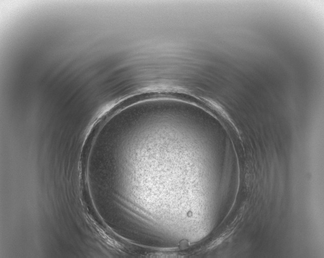 X0000054420831200508051803