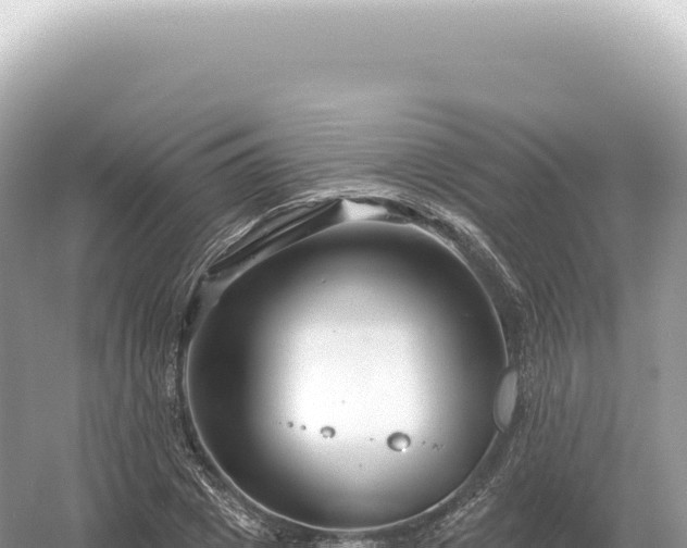 X0000054420833200508051803