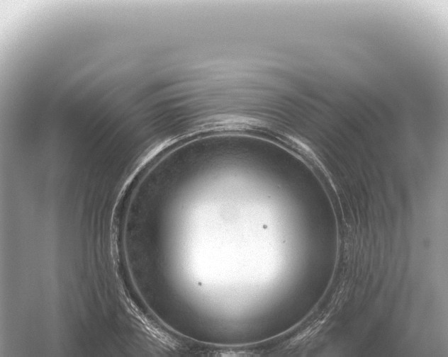 X0000054420835200508051803