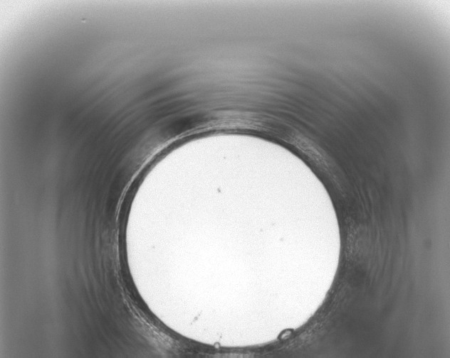 X0000054420836200508051803