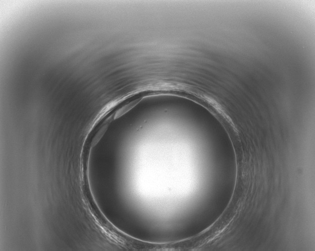 X0000054420837200508051803