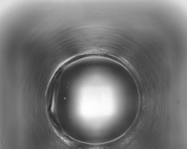 X0000054420838200508051803