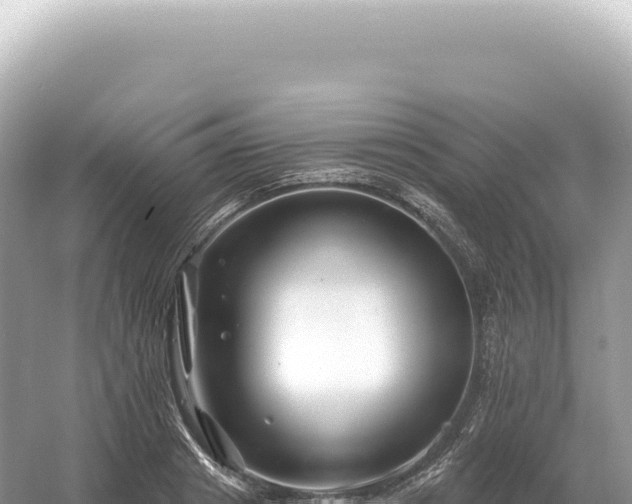 X0000054420841200508051804