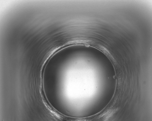 X0000054420844200508051804