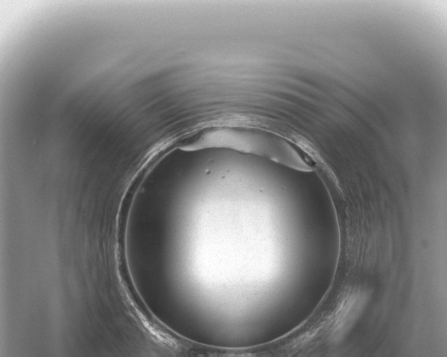 X0000054420845200508051804