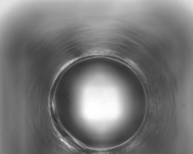 X0000054420846200508051804