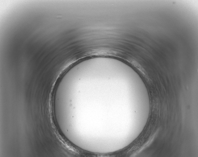 X0000054420848200508051804