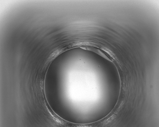 X0000054420849200508051804