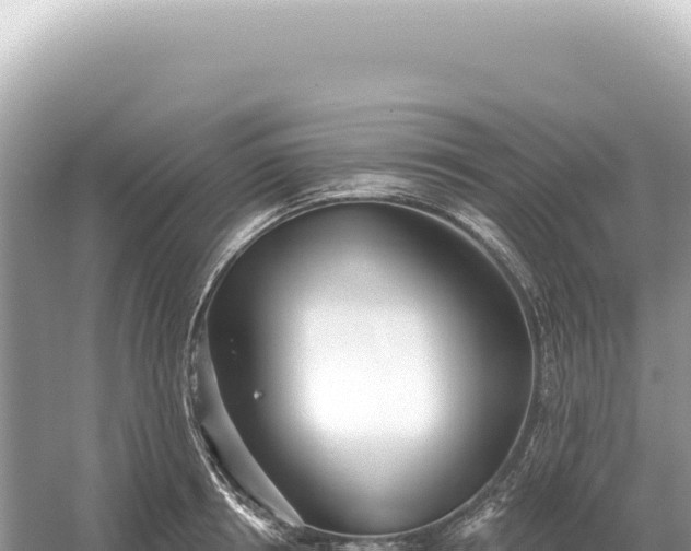 X0000054420850200508051804