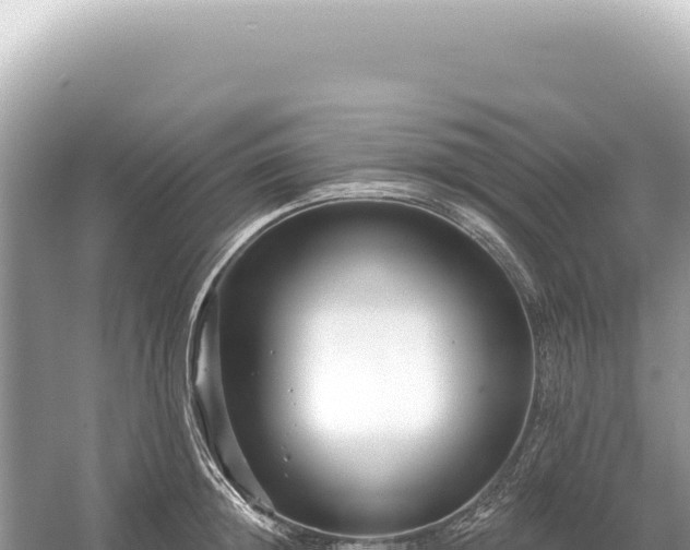 X0000054420852200508051804