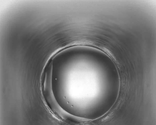 X0000054420854200508051804