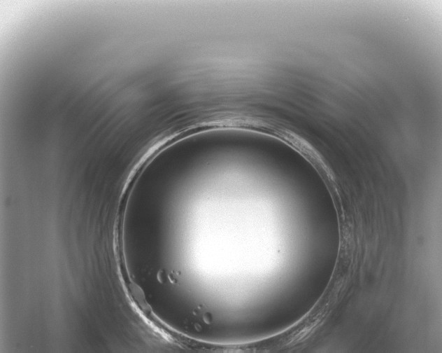 X0000054420855200508051804