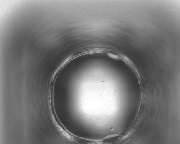 X0000054420859200508051804