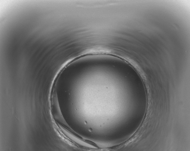 X0000054420864200508051804