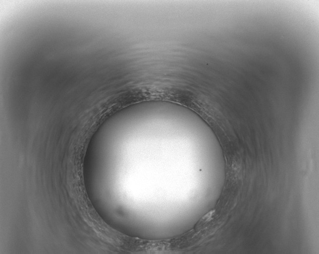 X0000054420865200508051803