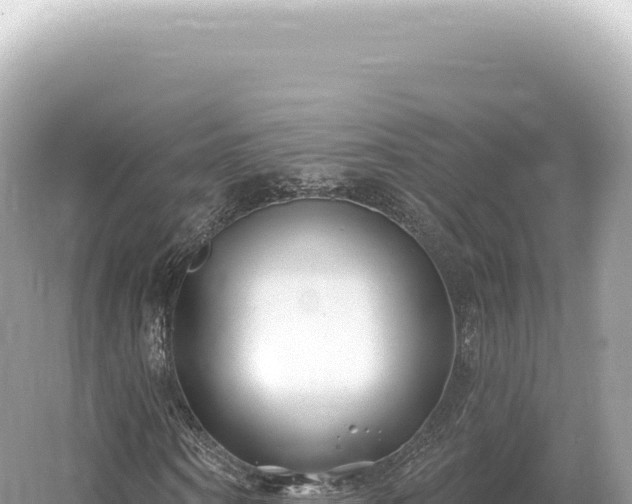 X0000054420866200508051803